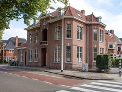 Bovenwoning te huur in Alkmaar