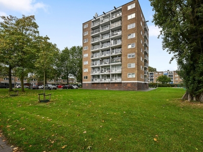 Zuidervaart in Zaandam (62m2)