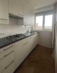 Appartement te huur Dumasstraat, Rotterdam