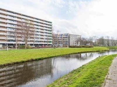 Cruquiuslaan in Leiden (85m2)