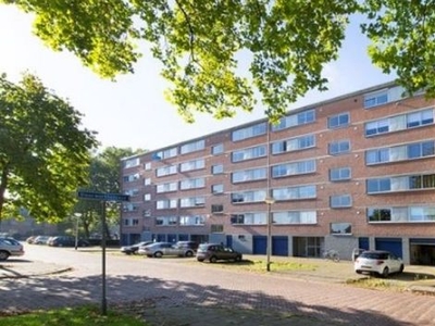 Doorwerthstraat in Breda (90m2)