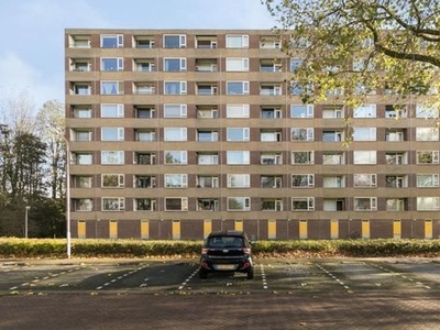 Fluitekruidweg in Zaandam (70m2)