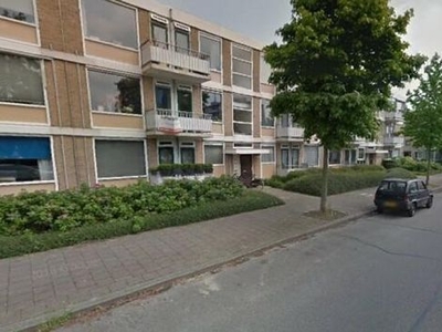 Hijmans van Den Berghlaan in Utrecht (45m2)