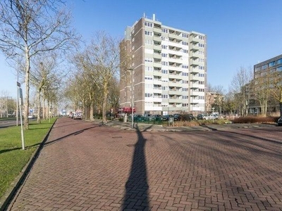 Limburglaan in Eindhoven (60m2)