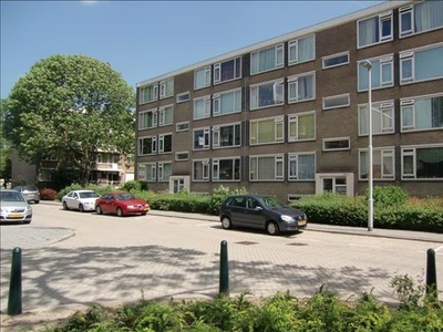 Quadenoord in Rotterdam (60m2)