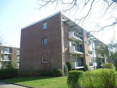 Steijnlaan in Breda (72m2)