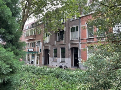 Wilhelminapark in Tilburg (70m2)