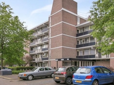 Zesde Buitenpepers in 's-Hertogenbosch (60m2)