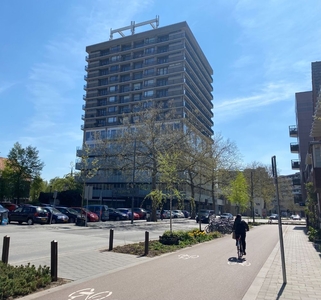 Hertog Hendrik van Brabantplein in Eindhoven (60m2)