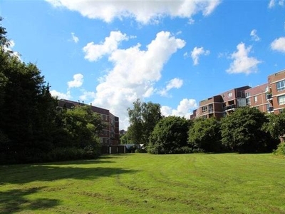 Liendenhof in Amsterdam (84m2)