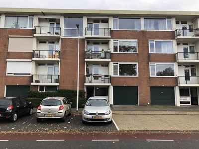 Pisanostraat in Eindhoven (75m2)