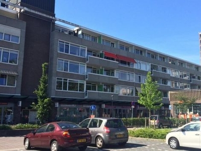 Van Ostadelaan in Alkmaar (38m2)