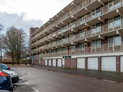 Zilverberg in Amsterdam (66m2)