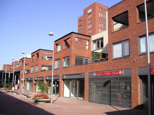 Appartement in Zwolle met 3 kamers