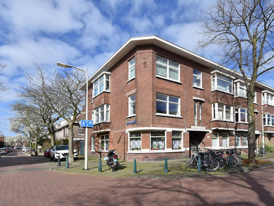 Linnaeusstraat 263