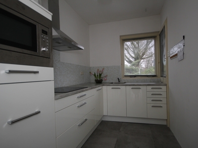 Woning te huur Tijmpad, Haren Gn