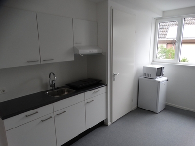 Appartement Schaapsweg in Ede