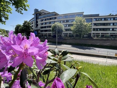 Stadsring in Amersfoort (52m2)