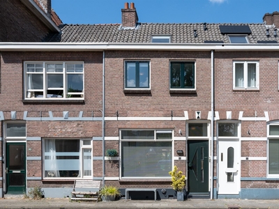 Van der Laenstraat 38