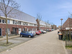 Amersfoort - Pitrus