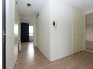 Appartement te huur Buitenhof in Uithoorn voor € 1.750