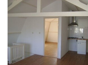 Huur 1 slaapkamer appartement van 35 m² in Leiden