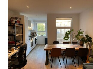 Huur 2 slaapkamer appartement van 45 m² in Bellamybuurt