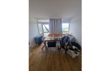 Huur 2 slaapkamer appartement van 80 m² in Arnhem