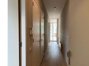 Huur 3 slaapkamer appartement van 100 m² in Wittevrouwen