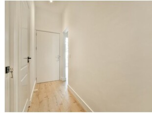 Huur 3 slaapkamer appartement van 75 m² in Oude Pijp