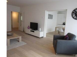 Huur 3 slaapkamer appartement van 90 m² in Buitenveldert-West