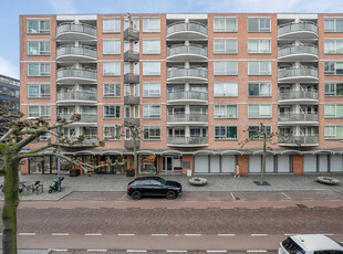 Karel Doormanstraat 271A