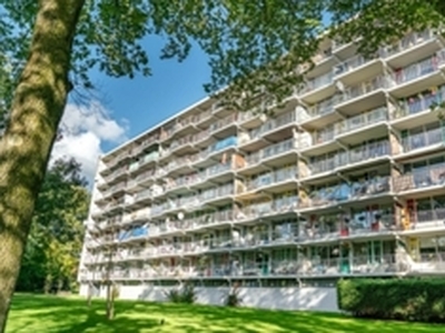 Appartement te huur in Leiden