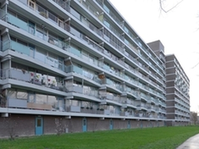 Appartement te huur in Zoetermeer