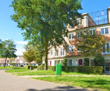 Schijfmos in Houten (163m2)