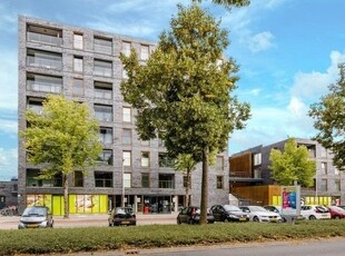 Portiekflat Dr Cuyperslaan, Eindhoven huren?