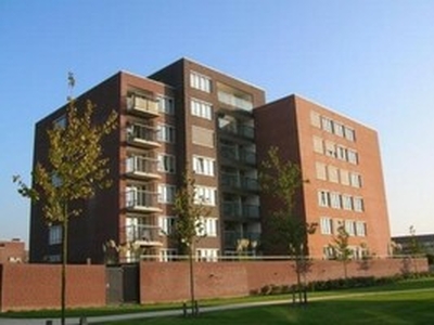 Appartement te huur in Zwolle