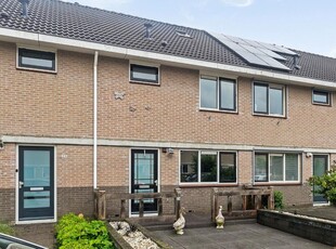 Luit 25, Kampen