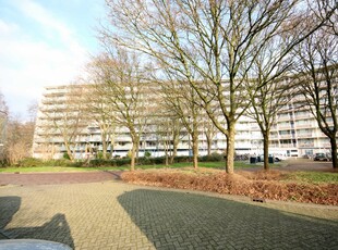 Appartement in Leiden met 4 kamers