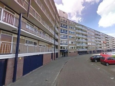 Kruiskampsingel in 's-Hertogenbosch (74m2)