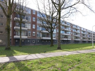 Predikherenlaan in Tilburg (75m2)