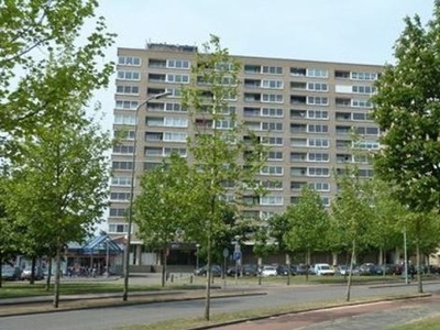 Sweelinckplein in 's-Hertogenbosch (65m2)