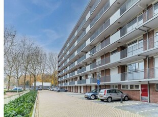 Huur 3 slaapkamer appartement van 71 m² in Tilburg