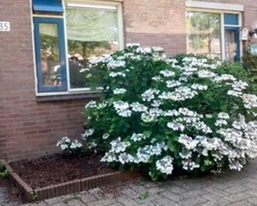 Apartment te huur in Nieuwegein