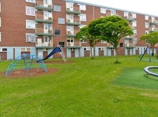 Appartement te huur in Leiden