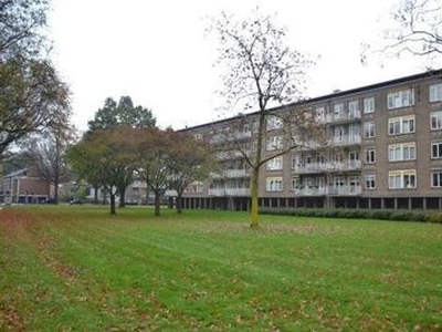 Jan Erasstraat in Tilburg (85m2)