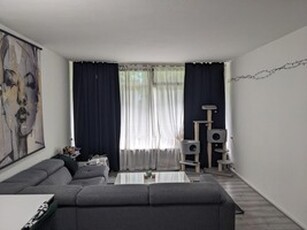 Apartment te huur in Groningen