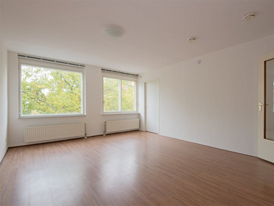 Appartement te huur Henegouwerlaan, Rotterdam