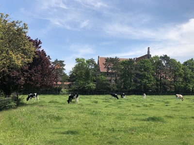 Appartement te huur Hollanderweg, Egmond-Binnen