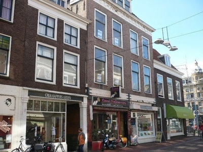 Breestraat in Leiden (40m2)